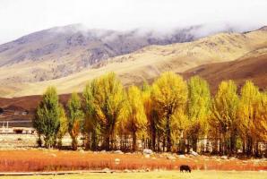 Garze Daocheng Yading